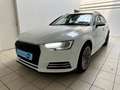 Audi A4 V (B9) 2.0 TDI 150 Business line Blanc - thumbnail 1
