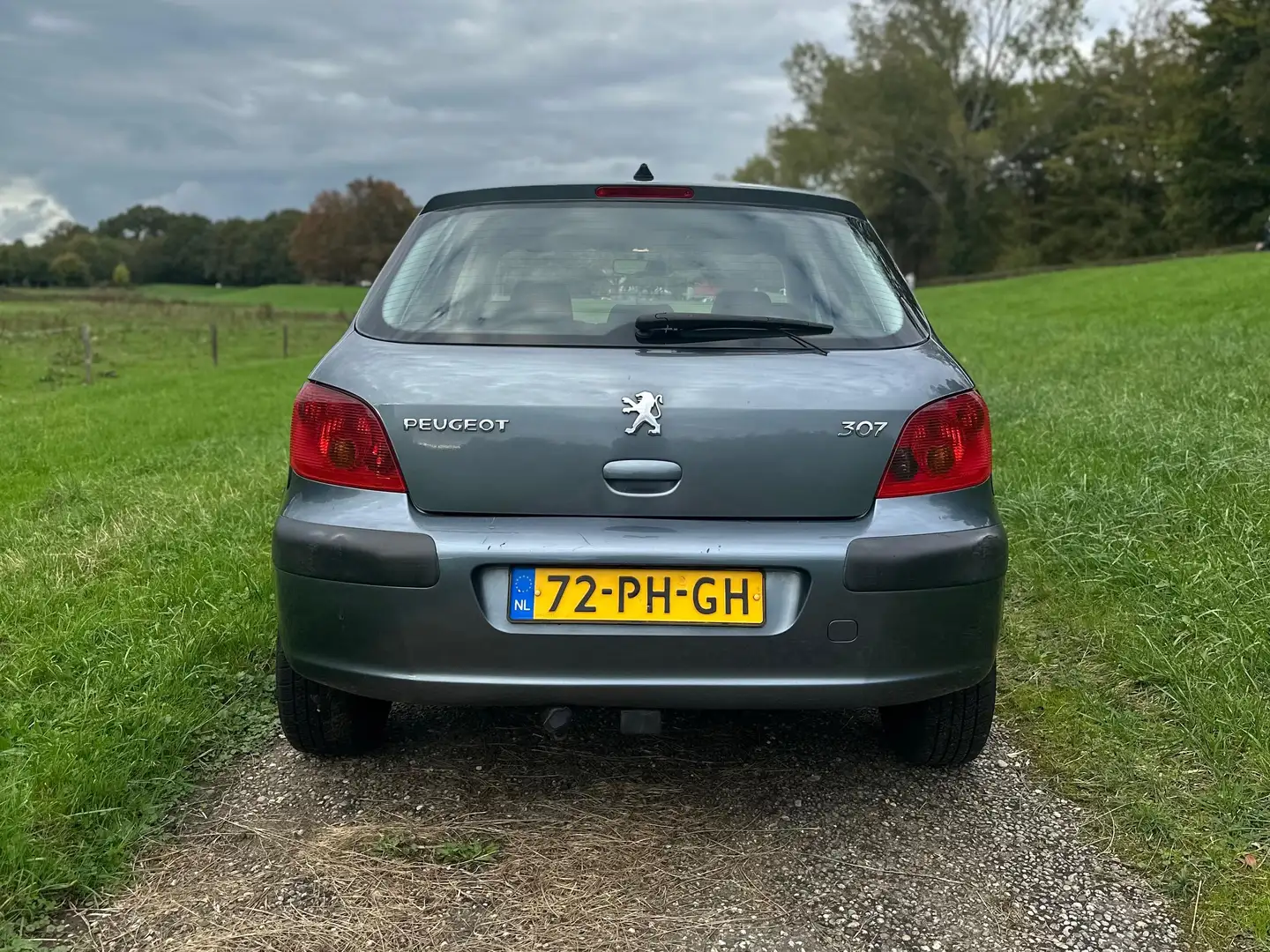 Peugeot 307 307 1.6-16V XS Zilver - 2