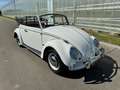 Volkswagen Kever 1200 cabriolet uit 1966 Alb - thumbnail 3