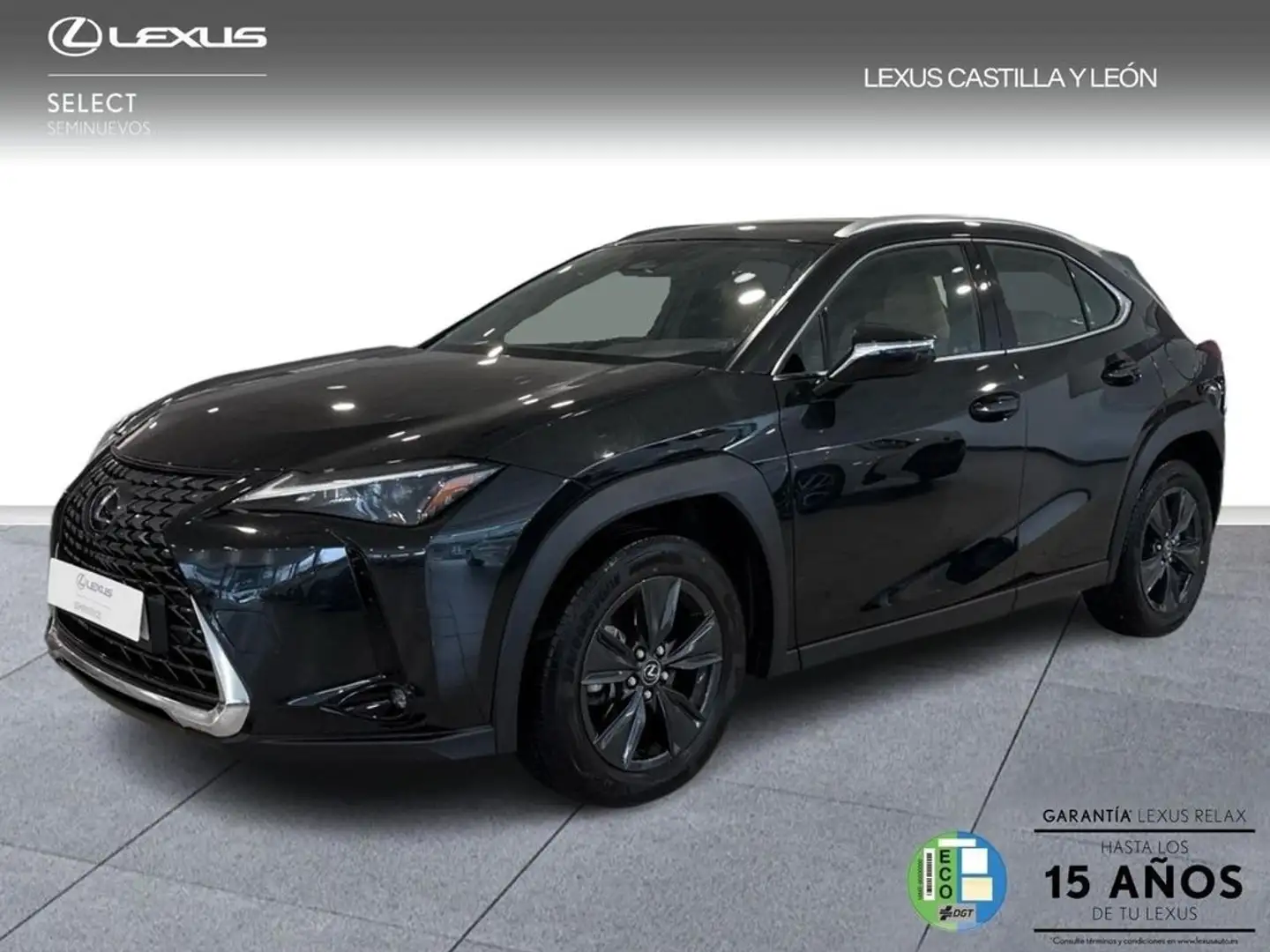 Lexus UX 300h + 2WD Noir - 1