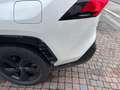 Toyota RAV 4 RAV 4 2.5 4x2 Hybrid/FULL/GARANTIE Blanc - thumbnail 5