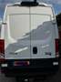 Iveco Sonstige Overig 35S14V 2.3 352 H2 Weiß - thumbnail 6