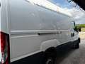 Iveco Sonstige Overig 35S14V 2.3 352 H2 Weiß - thumbnail 4