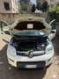 Fiat Panda Panda III 2021 0.9 t.air t. nat power City Life Bianco - thumbnail 11