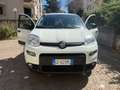 Fiat Panda Panda III 2021 0.9 t.air t. nat power City Life Bianco - thumbnail 12