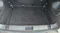 Jeep Renegade 1.0 T3 Business Bianco - thumbnail 9