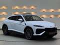 Lamborghini Urus Urus SE *Ad Personam* Weiß - thumbnail 6