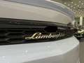 Lamborghini Urus Urus SE *Ad Personam* Weiß - thumbnail 15