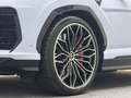Lamborghini Urus Urus SE *Ad Personam* Weiß - thumbnail 10