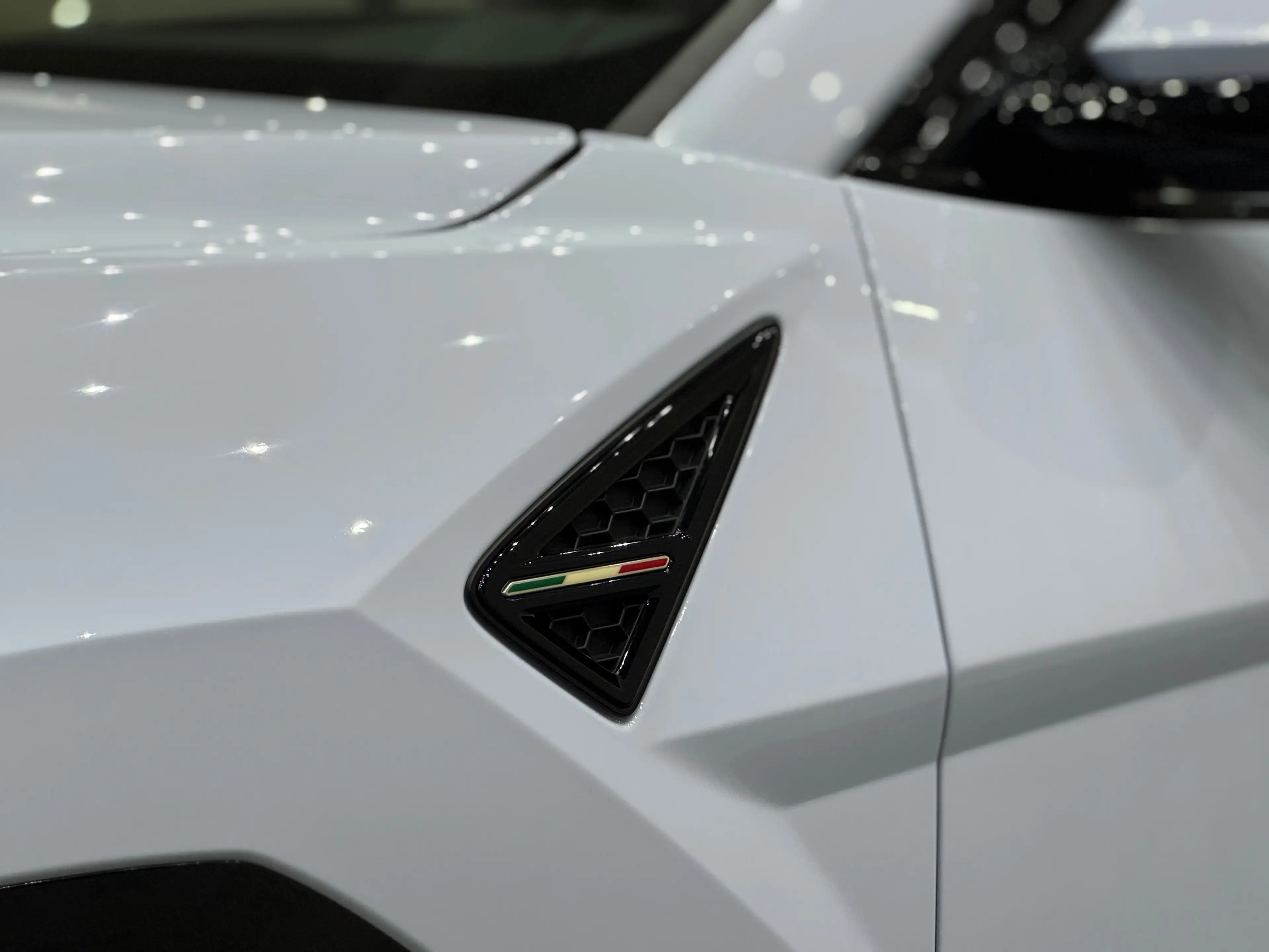 Lamborghini Urus Urus SE *Ad Personam* — photo 11