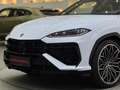 Lamborghini Urus Urus SE *Ad Personam* Weiß - thumbnail 7