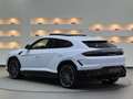 Lamborghini Urus Urus SE *Ad Personam* Weiß - thumbnail 3