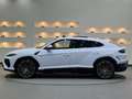 Lamborghini Urus Urus SE *Ad Personam* Weiß - thumbnail 2