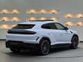 Lamborghini Urus Urus SE *Ad Personam* Weiß - thumbnail 4