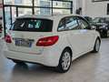 Mercedes-Benz B 160 Classe B - T246 cdi Executive White - thumbnail 6