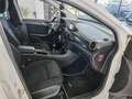 Mercedes-Benz B 160 Classe B - T246 cdi Executive White - thumbnail 9