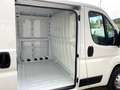Fiat Ducato 2.3 M.jet SX 120cv PC TN  E6 D-Temp Bianco - thumbnail 15
