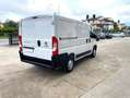 Fiat Ducato 2.3 M.jet SX 120cv PC TN  E6 D-Temp Bianco - thumbnail 3