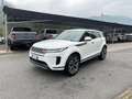 Land Rover Range Rover Evoque 2.0d i4 mhev R-Dynamic HSE awd 150cv auto Bianco - thumbnail 2