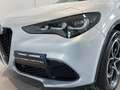 Alfa Romeo Stelvio Stelvio 2.2 Turbodiesel 210 CV AT8 Q4 Veloce Grijs - thumbnail 9
