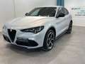 Alfa Romeo Stelvio Stelvio 2.2 Turbodiesel 210 CV AT8 Q4 Veloce Grijs - thumbnail 1