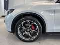 Alfa Romeo Stelvio Stelvio 2.2 Turbodiesel 210 CV AT8 Q4 Veloce Grijs - thumbnail 8