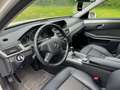 Mercedes-Benz E 220 CDI DPF BlueEFFICIENCY Automatik Avantgarde Tüv N Bianco - thumbnail 6