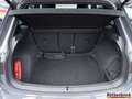Volkswagen Tiguan R-Line TDI DSG 4M. 360° AHK Standhzg. el.Heckkl... Grau - thumbnail 4