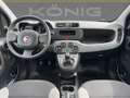 Fiat Panda 1.0 GSE City Cross Schwarz - thumbnail 9