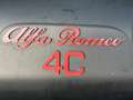Alfa Romeo 4C 1.750TBI 240pk TCT Grau - thumbnail 10