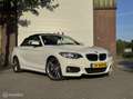 BMW 228 2-serie Cabrio 228i 245PK M-Sport HK Memory ORG. N Weiß - thumbnail 10