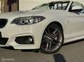 BMW 228 2-serie Cabrio 228i 245PK M-Sport HK Memory ORG. N Weiß - thumbnail 27