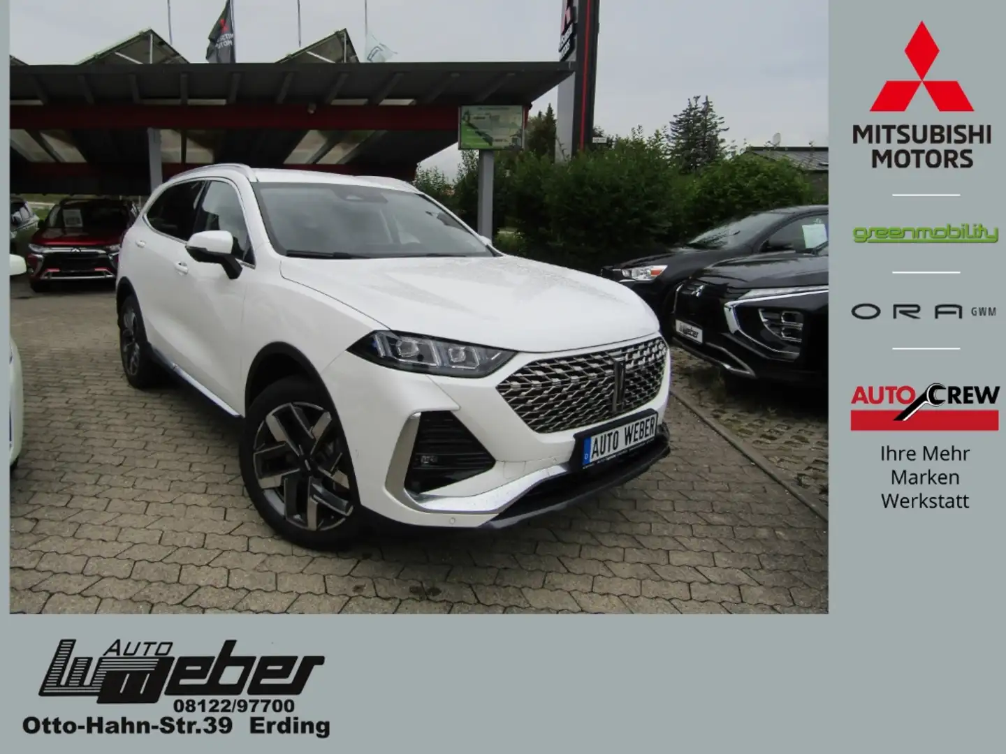 GWM WEY 03 Luxury 4WD 2.0 PHEV PANORAMA WINTERPAKET LED NAVI Weiß - 1