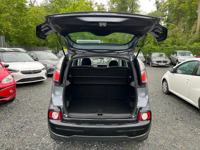Citroen C3 Picasso view 14