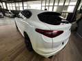 Alfa Romeo Stelvio Stelvio  2.2 t Executive Q4 210cv auto Bianco - thumbnail 7