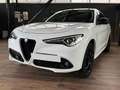 Alfa Romeo Stelvio Stelvio  2.2 t Executive Q4 210cv auto Bianco - thumbnail 2