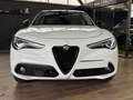 Alfa Romeo Stelvio Stelvio  2.2 t Executive Q4 210cv auto Bianco - thumbnail 5