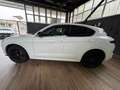 Alfa Romeo Stelvio Stelvio  2.2 t Executive Q4 210cv auto Bianco - thumbnail 13