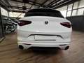Alfa Romeo Stelvio Stelvio  2.2 t Executive Q4 210cv auto Bianco - thumbnail 4