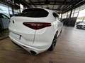Alfa Romeo Stelvio Stelvio  2.2 t Executive Q4 210cv auto Bianco - thumbnail 6
