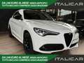 Alfa Romeo Stelvio Stelvio  2.2 t Executive Q4 210cv auto Bianco - thumbnail 1
