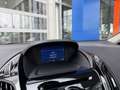 Ford B-Max 1.0 EcoBoost 125 PK Titanium | Panorama dak | Stoe Grijs - thumbnail 30