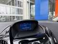 Ford B-Max 1.0 EcoBoost 125 PK Titanium | Panorama dak | Stoe Grijs - thumbnail 29