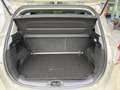 Ford B-Max 1.0 EcoBoost 125 PK Titanium | Panorama dak | Stoe Grijs - thumbnail 15