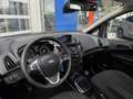 Ford B-Max 1.0 EcoBoost 125 PK Titanium | Panorama dak | Stoe Grijs - thumbnail 11