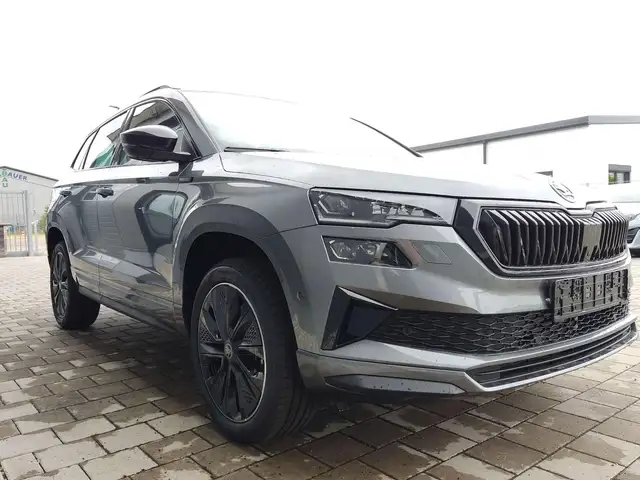Skoda Karoq view 3