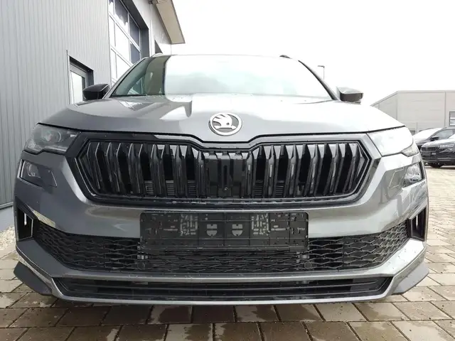 Skoda Karoq view 2