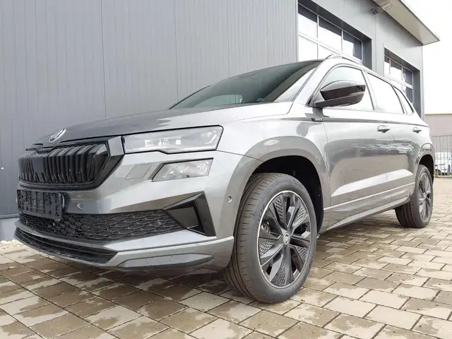 Skoda Karoq main image