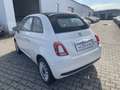 Fiat 500C 1.0 Cabrio Klima*Carplay*Einparkhilfe Weiß - thumbnail 4