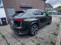 Lexus NX 300h NX 300 Executive Line Vert - thumbnail 3